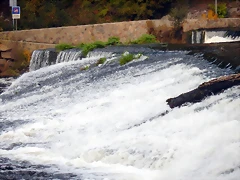 DSCN9444 DSCN9444