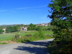 10-IMG_6344