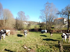 DSCN1672 DSCN1672