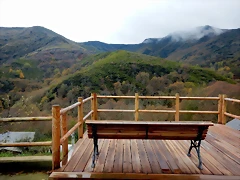 DSCN2921 DSCN2921