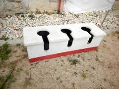 DSCN3645 DSCN3645