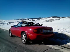 IMG_20131128_134035 IMG_20131128_134035