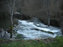 DSCN2890 DSCN2890