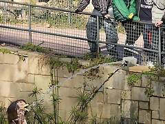 Zoo de Barcelona 16-02-12 308 Zoo de Barcelona 16-02-12 308