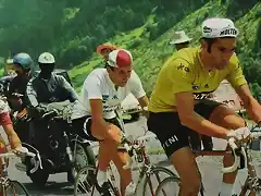 TOUR 1971-MERCKX-ZOETTEMELK.