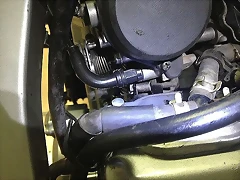 215379987C3952F7F9282C52F7F8DC 215379987C3952F7F9282C52F7F8DC