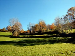DSCN9099 DSCN9099