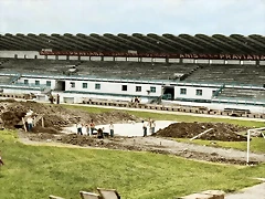 colorized-image (1)