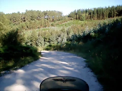 P1010137 P1010137