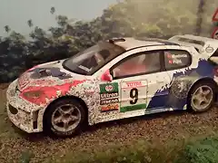 PEUGEOT 206 WRC 2000 ESPAA TIERRA MUNIENTE