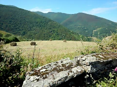 DSCN4834 DSCN4834