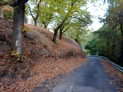DSCN8631