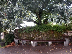 DSCN8363 DSCN8363