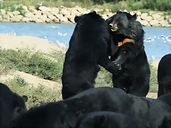 Zoo Lunaret + Sigean 18 i 19-09-10 2536 Zoo Lunaret + Sigean 18 i 19-09-10 2536