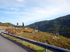 DSCN0645 DSCN0645