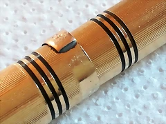 pluma detalle 2