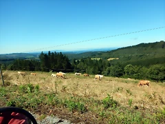 DSCN7569