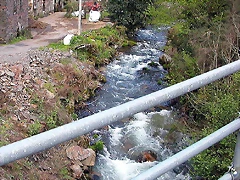 DSCN9125 DSCN9125
