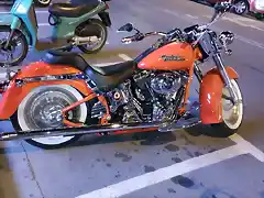 harleys 03