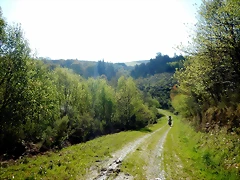 DSCN4822 DSCN4822