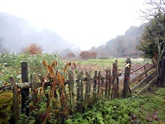 DSCN0321 DSCN0321