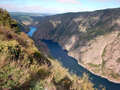 DSCN1358