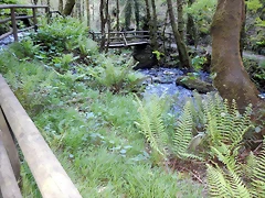 DSCN4757 DSCN4757