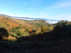 DSCN0028 DSCN0028