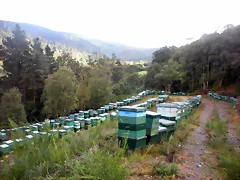 DSCN8450 DSCN8450