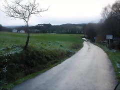 DSCN7487 DSCN7487