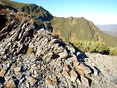DSCN9732 DSCN9732