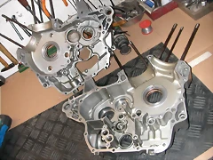 DSCN4180