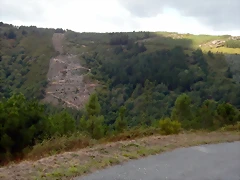 DSCN7010 DSCN7010