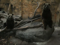 Zoo de Barcelona 25-11-10 419 Zoo de Barcelona 25-11-10 419