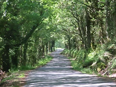 IMG_2664 IMG_2664