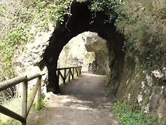R0012420 R0012420