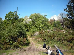 DSCN5333 DSCN5333