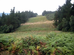 IMG_0210 IMG_0210
