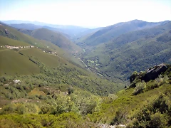 IMG_1194 IMG_1194