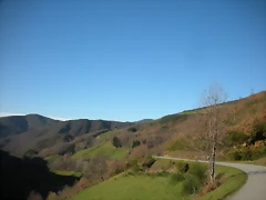 DSCN2991 DSCN2991