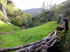 DSCN9089 DSCN9089