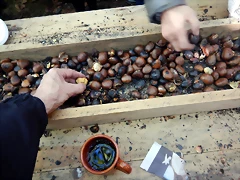 DSCN0176 DSCN0176