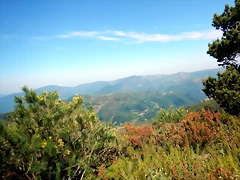 DSCN4861 DSCN4861