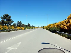 DSCN2296 DSCN2296