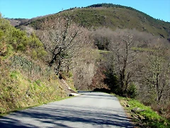 DSCN8017 DSCN8017