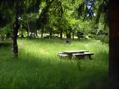 DSCN5357 DSCN5357