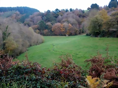 DSCN0597 DSCN0597