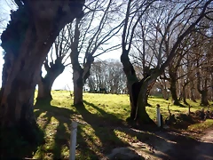DSCN2529 DSCN2529