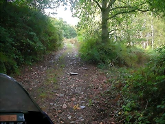 DSCN5312 DSCN5312