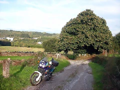 DSCN5313 DSCN5313